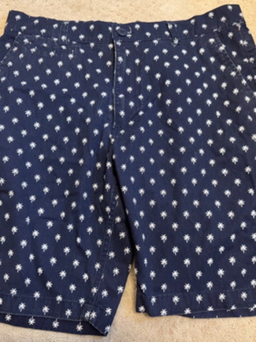 Islandia Men's Casual Shorts 36 Palm Trees